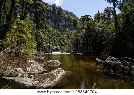 Pororari River Track, Landscape On The Pororari River Track, New Zealand, South Island, Wild New Zea