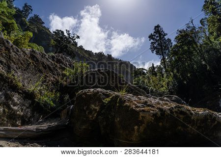 Pororari River Track, Landscape On The Pororari River Track, New Zealand, South Island, Wild New Zea