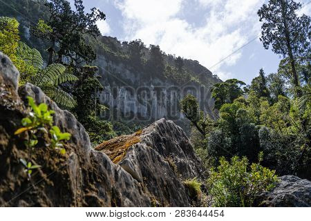 Pororari River Track, Landscape On The Pororari River Track, New Zealand, South Island, Wild New Zea