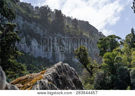 Pororari River Track, Landscape On The Pororari River Track, New Zealand, South Island, Wild New Zea