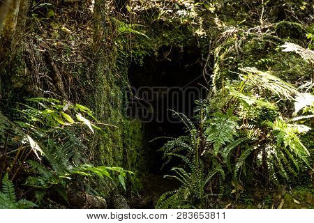 Amazing Nature Of New Zealand, Nature Image Of The Nature In New Zealand, Great Wildlife And Plants 