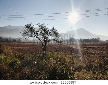 Horizontal Shot Of Rural Picturesque  Outstanding Landscape Of Field With Mountain View During Dry S