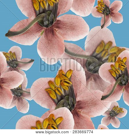 Pyrola . Texture Of Flowers. Seamless Pattern For Continuous Replicate. Floral Background, Photo Col