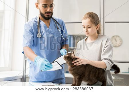 Young professional vet clinician putting funnel on cat neck before examining her mouth, ears or eyes