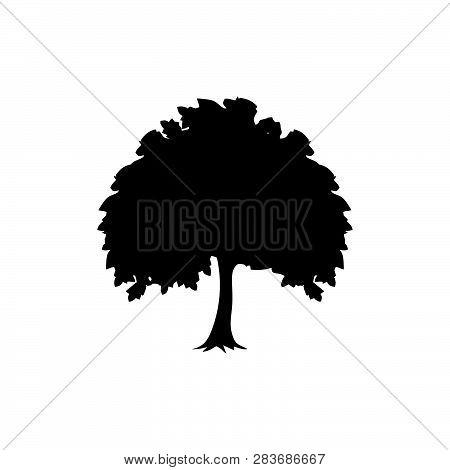 Detailed Vectoral Trees Silhouette.vector Illustration Isolated On White Background.  African, Tropi