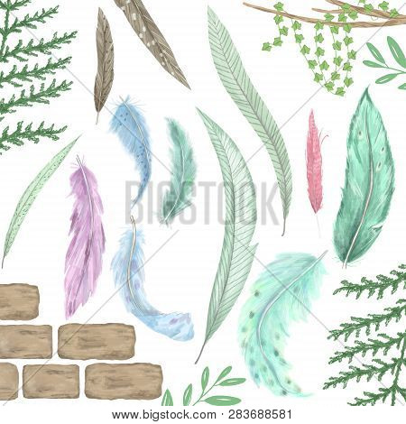 Feathers Blue Feather, Pink Feather Digital Feather, Clip Art, Drawng, Illustration On White Backgro