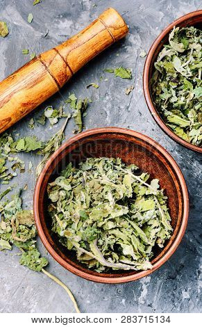 Healing Dry Foliage Coltsfoot