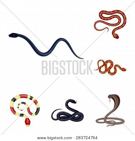 Vector Design Of Poison And Evil Logo. Collection Of Poison And Bite Vector Icon For Stock.