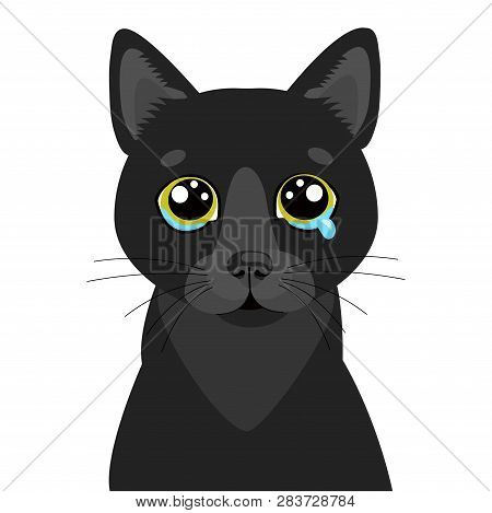 Sad Black Cat Vector Icon. Illustration Of Cute Sad Animal. Drear Crying Black Cat Vector.