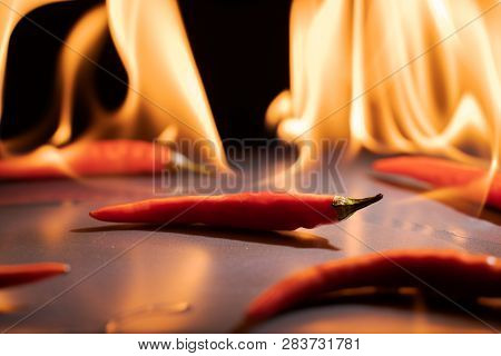 Red Chili Peppers. Sharp Red Siliculose Pepper Against A Flame.