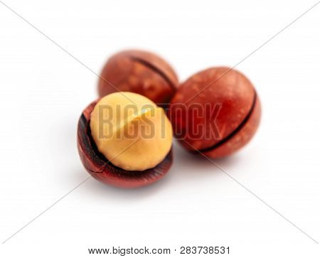 Macadamia Nut With A Cut On A Shell, Isolated On White Background.