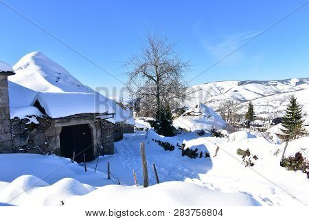 Mountain village with ancient palloza houses covered with snow. Snowy mountainside and spruces, blue sky, sunny day. Piornedo, Ancares, Lugo, Galicia, Spain.