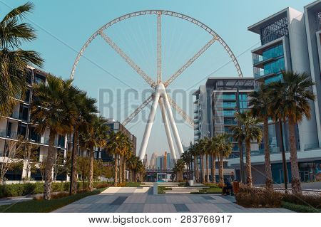 View Of Dubai Eye On Bluewaters Island, Dubai, United Arab Emirates