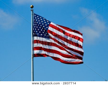 Vlag