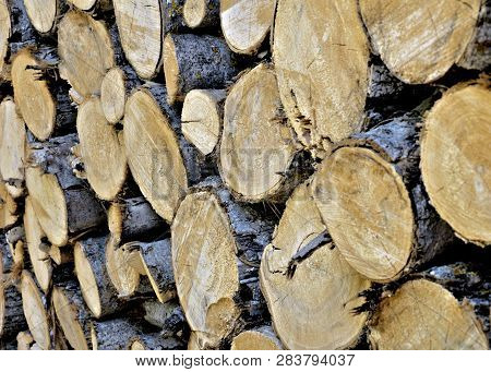 Pile Of Stacked Logs Before Winter Arrives