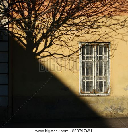 Detail Of A Yellow House With Branches