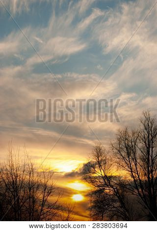 Treetops And Sunset Sky Background