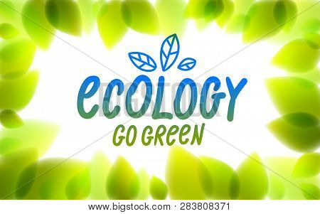 Ecology Word Drawn On A Window Glass, Fresh Green Leaves Blurred Background, Vector Realistic Illust