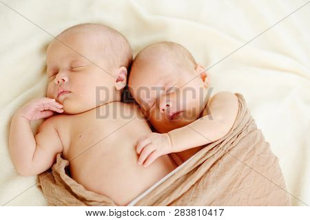 Sweet Dreams Of Twins In The Sot Focus