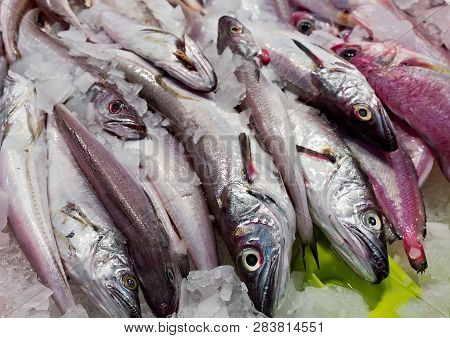 Fresh Fish Black Scabbard (espada) In Pile Of Ice In Seafood Restaurant. Top View Fish Market