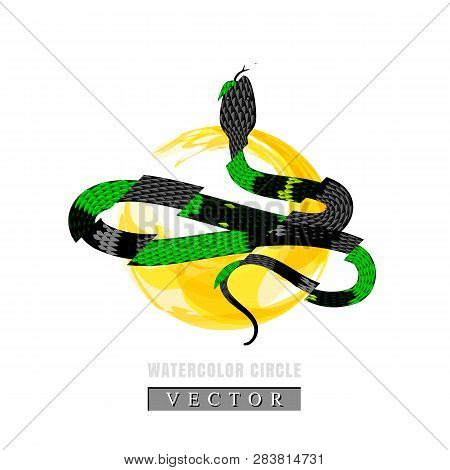 Graphic Illustration Of Coral Snake Or Micrurus Isolated
