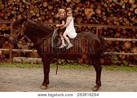 Friend, Companion, Friendship. Girls Ride On Horse On Summer Day. Equine Therapy, Recreation Concept