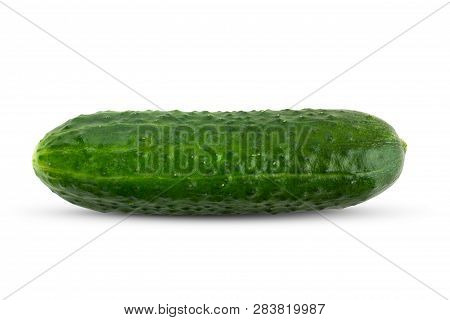 Fresh Green Cucumber On A White Background. One Cucumber Closeup Isolated On White Background.