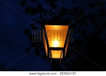 Street Lamp With Narnian Vibes At Night