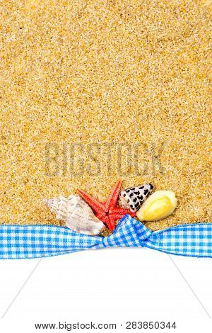 Holiday Gift Card With Blue Bow And Ribbon In The Middle Of Decoration With  Sea Shells On Backgroun