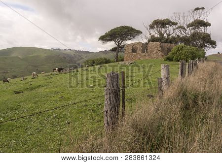 Random Farming Land With Cattle Grazing Near An Old Homestead Ruin. Situated Near Myponga Beach In T