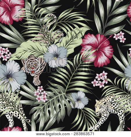 Wild Exotic Animal Tiger And Panther In The Night Jungle With Hibiscus Flowers And Palm Banana Leave