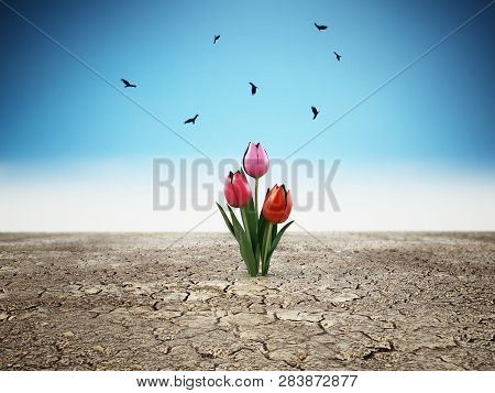 Lonely Flower Standing On Cracked Soil. 3d Illustration.