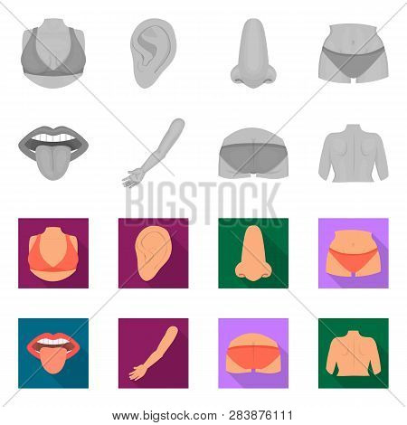 Vector Design Of Body And Part Icon. Collection Of Body And Anatomy Stock Vector Illustration.