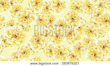 Pastel Roses Or Peony, Floral Seamless Pattern. Watercolor Flowers In Vintage Style. Wedding Print I