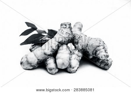 Close Up Of Popular Indian & Asian Raw Organic Herb Or Ayurvedic Herb Isolated On White I.e. Amba Ha