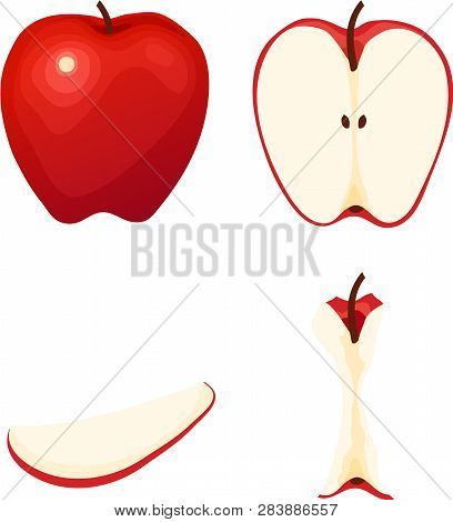 Red Apples, In Whole, Sliced, Eaten Varieties. Isolated Vector Illustrations.