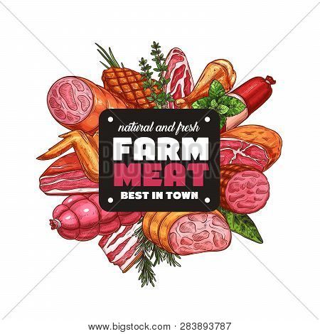 Butchery Meat And Sausages. Vector Beef And Pork, Salami And Ham, Steak And Barbecue, Brisket And Ba