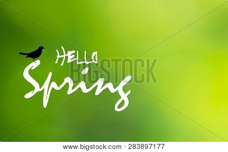 Hello Spring Text And Black Bird On Green Blurry Background. Springtime Bright Greeting Card With Bl