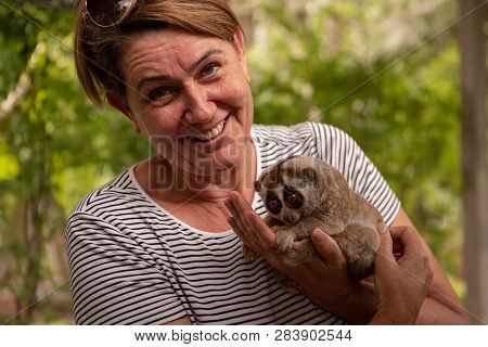 Woman Holding Slow Loris Smiles At Camera