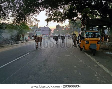 Tiruvanamalai, India - January 8, 2019: Street scene in India at sunset