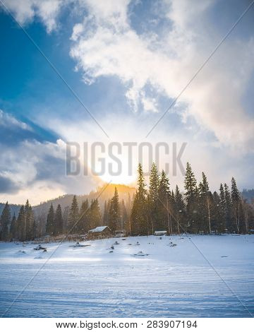 A Small Steading Among Siberian Forest, Under Blue Sky And Shining Sun