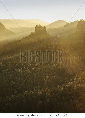 Mountain Forest In Misty Clouds. Hilly Forest Landscape. Thick Mist In Sun Beams.