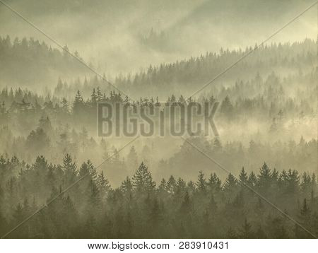 Strong Sun Rays Illuminating Sharp Treetops Of Misty Forest Scenery With Fresh And Vibrant Orange Fo