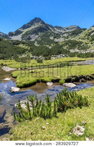 Summer Landscape With Valyavitsa River And Valyavishki Chukar Peak, Pirin Mountain, Bulgaria