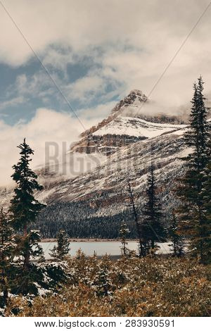 Bow Lake with snow capped mountain and forest in Banff National Park