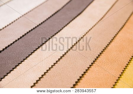 Colorful And Bright Fabric Samples Of Leatherette Furniture And Clothing Upholstery. Close-up Of A P