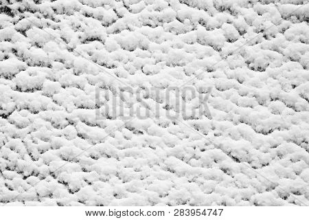 Wooden Background Covered With Snow. Natural Texture