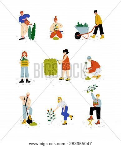 People Working In Garden Or Farm Set, Girls And Guys Planting Seedlings, Watering And Caring For Pla