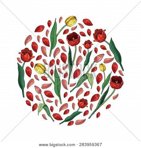 Circle Made Of Tulips And Tulip Petals. Template With Floral Romantic Elements For Your Season Desig