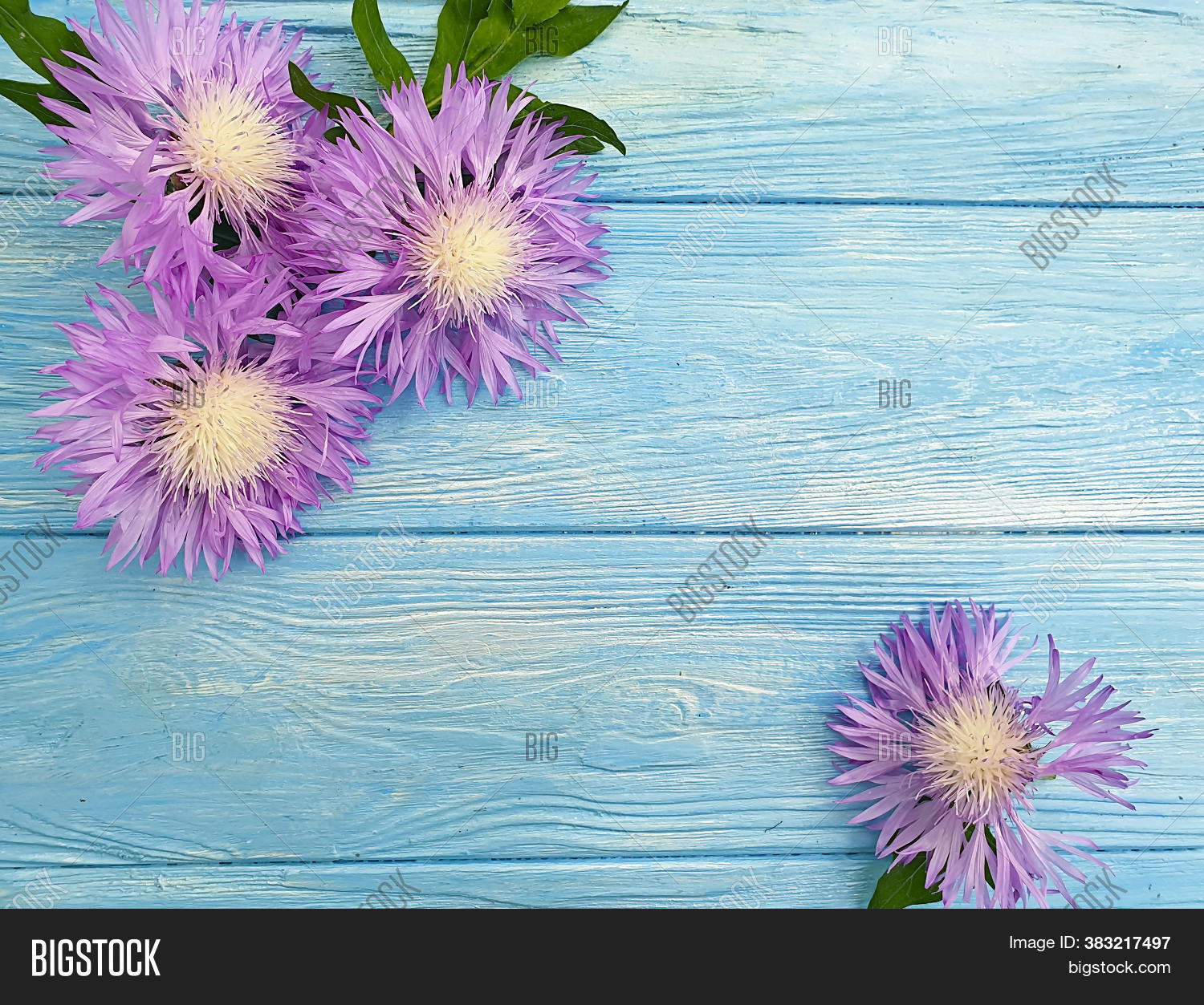 Flower On Wooden Image & Photo (Free Trial) | Bigstock